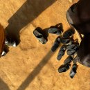 이남정 | 화성 온천 추천｜서울근교온천｜율암온천 숯가마 찜질방 내돈내산 후기