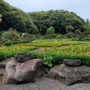 장미정원 이미지