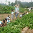 샘터어린이집 이미지