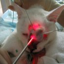 엔도소노 이미지