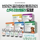 바른반려견센터 이미지