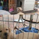 영월유앤아이펜션 이미지