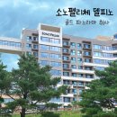 고성군 12 | 고성 소노펠리체 델피노 골드 스위트 파노라마 취사 객실 후기(주차,방배정,체크인)