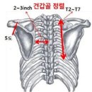 와이핏 이미지