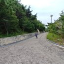 내가초교 이미지