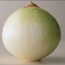 다마내기 이미지