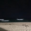 지에스25 낙산해송점 이미지