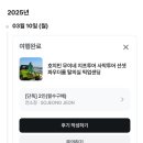 ㈜현대드림투어 | [호치민 무이네투어] 프라이빗 2인투어 패키지 준비물/날씨 • 내돈내산 후기•