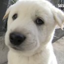이스트호스텔 이미지