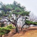 황금폭포하늘길 이미지