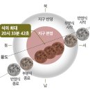 3월3일 - 화성시 영통로 74 | 3월3일