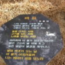 구덕로 이미지