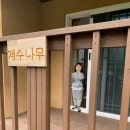 알사도 | 아이와 함께하는 가평여행 2박3일 (2021년 5월 유명산 자연휴양림 &amp; 가평 알사도 펜션 &amp; 가평양떼목장)