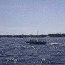 카르디아 이미지