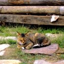 경주한옥펜션 소소가 이미지