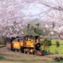 파크사이드관광호텔 이미지