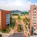 고양메디 이미지