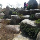 벌교펜션민박 이미지