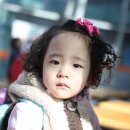 용인대 합기도 이미지