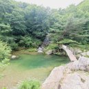 포시즌밸리계곡애견펜션 | [가평계곡펜션] 애견 동반 &#34;포시즌밸리 계곡애견펜션&#34; 후기