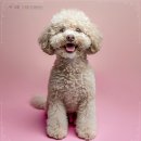 더샵헤어 - 포항시 북구 장량중앙로 30 | 더샵헤어