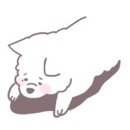 애견용품 할인매장 이미지