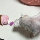 2월 2째주