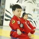 화이트 타이거 태권도 이미지