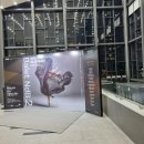 (공연) 체코 브르노 국립주니어 발레단 내한공연 이미지