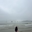 일품해운대봉가떡볶이 서면점 | # 비오는날에도 지지않아 &lt;망곰이들의 부산여행&gt;