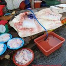 대일상회 이미지