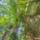 무비챠트 1위 ♡ 마인크래프트 무비 🎥 😎 이미지