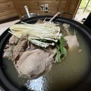 팔공산오리 이미지