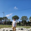 제천 모산비행장 이미지