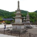 장흥군 보림사 Daum카페