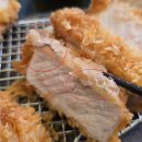 나는 돈까스 | 대전 돈까스 맛집 우츠 WOOTZ 후기 (feat 저온카츠 밑젖음)