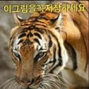 중국의 문화,역사,동북공정을 규탄한다 이미지