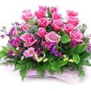 산내들 A 이미지