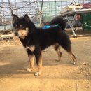 온식구 이미지