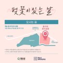 투썸플레이스 화순동구리호수공원점 이미지