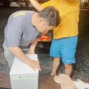 돌고래풀하우스 이미지
