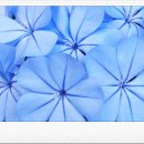 마음과마음정신과의원 이미지