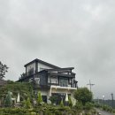 카페니드(Cafe Nid) | 여수 애견동반 카페 : 카페 니드! Cafe nid 소라면 감성카페 파이 맛집 내돈내산