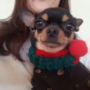 개토피아 이미지