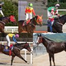 캡틴축산 이미지