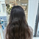 강삼지 강아지 미용실 | [공지] [청담미용실] 아뉴헤어 소윤실장님 긴머리펌 솔직 후기