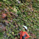 서해랑길 43코스 이미지