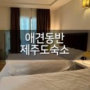 위플스테이 이미지