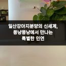 몽냥몽냥 강아지분양 일산점 | 일산강아지분양의 신세계, 몽냥몽냥에서 만나는 특별한 인연