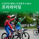 서울자전거 이미지